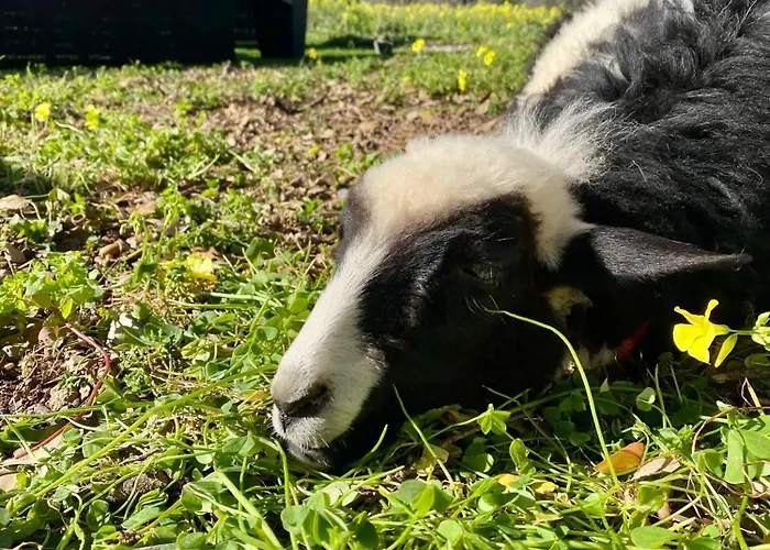 Villa Boeddu, Relax Tra Mare E Campagna